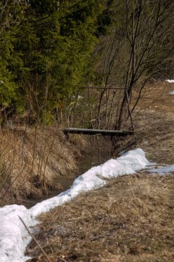 Ahşap yolda. Erken Bahar. 