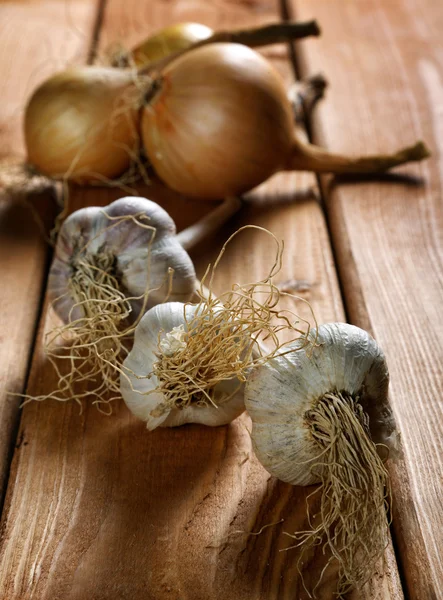 Testa d'aglio sul tavolo rustico — Foto Stock