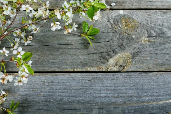 Ramas de una cereza sobre una mesa vieja —  Fotos de Stock