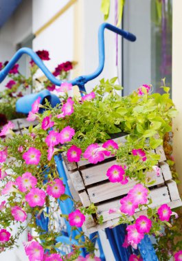 Yaz aylarında çiçek kutusu ile eski Bisiklet