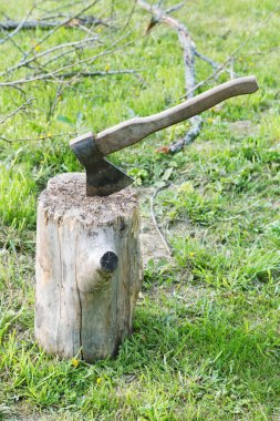 AX ve eski ağaçlar çim şubeleri