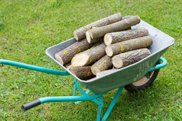 Camion à main avec bois de chauffage sur l'herbe verte — Photo