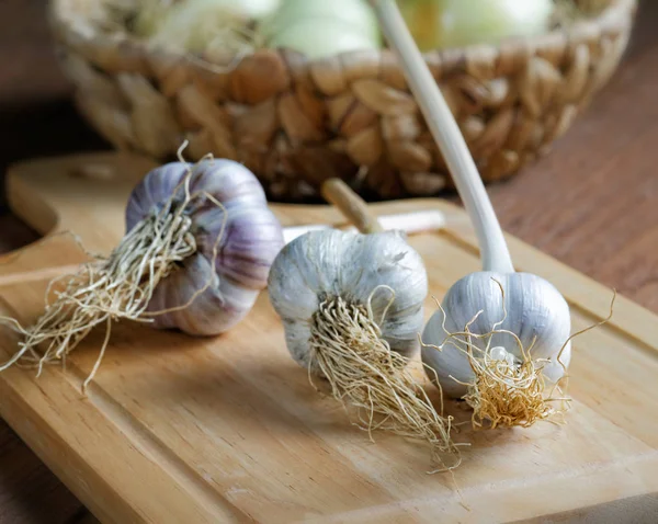 Cabeza de ajo en la mesa rústico — Foto de Stock