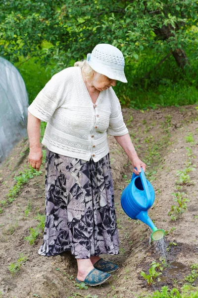 La abuela riega la cama de una regadera — Foto de Stock