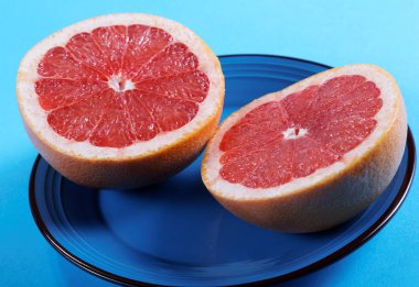 Greyfurt yarıya yakın bir plaka üzerinde çekim