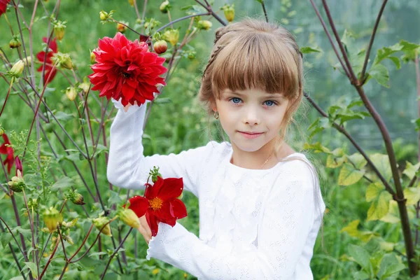 여름에는 정원에서 꽃과 어린 소녀 — 스톡 사진