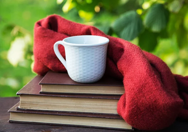 Bir eşarp ve bir yığın kitap ile tabloda çay — Stok fotoğraf