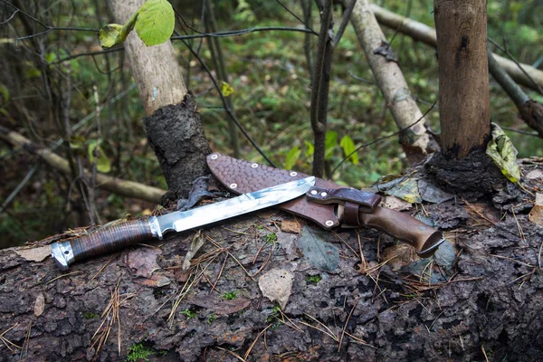 Faca de caça em uma árvore caída na floresta — Fotografia de Stock