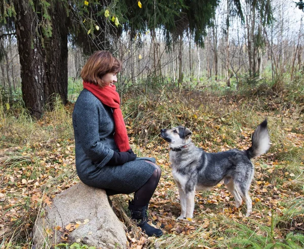 Vrouw Het Bos Met Een Hond Wandelen Herfst Middag — Stockfoto