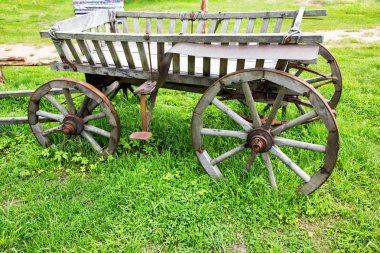  bir yaz gününde bir çayır üzerinde ahşap sepeti yakın çekim