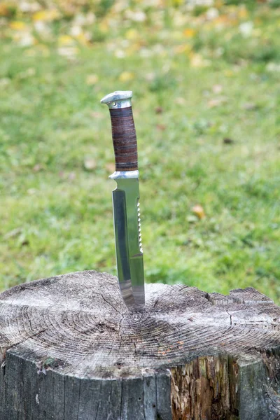 Hunting knife on a fallen tree in the woods — Stock Photo, Image