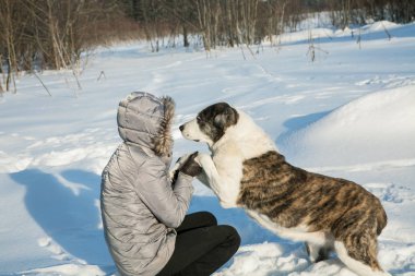 kadın ile köpek kış öğleden sonra çalış.