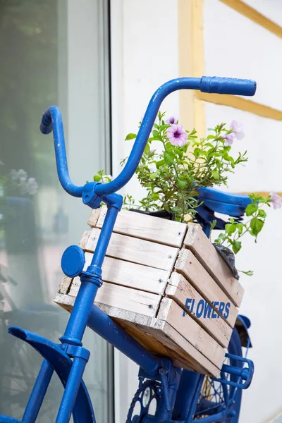 Голубой старый велосипед с коробкой цветов летом — стоковое фото