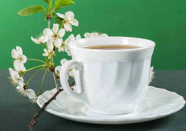 La taza blanca del té con las flores del verano de la guinda — Foto de Stock