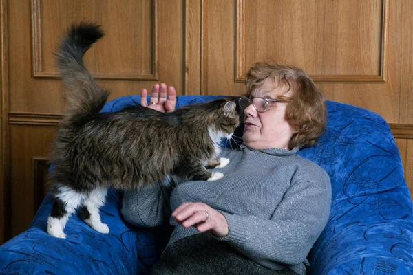 Бабуся з кішкою в домашніх умовах — стокове фото
