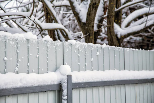 Fence Trees Snow Covered Cold Winter — Stock Photo, Image