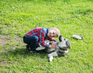 Yeşil çimenlerin üzerinde bir yaz gününde bir köpekle oynamayı çocuk
