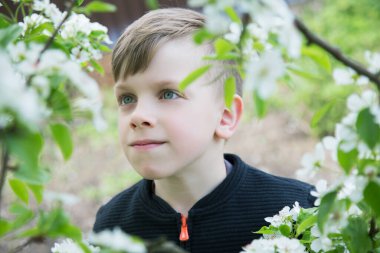 7 yaşındaki bir çocuk bahar öğleden sonra çiçek açan bir ağaca bakar.