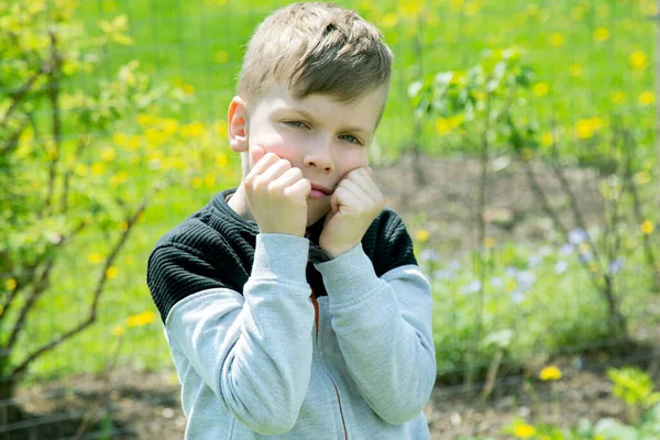 Niño Siete Años Edad Irónicamente Mira Cámara Entrecerrada Una Tarde —  Fotos de Stock