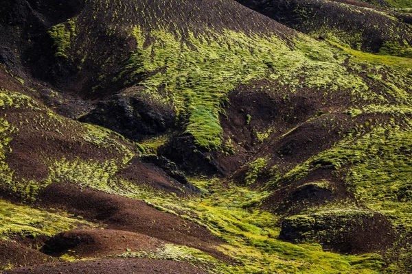 Colline islandaise avec mousse — Photo