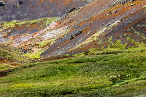 Paisaje islandés con laderas — Foto de Stock