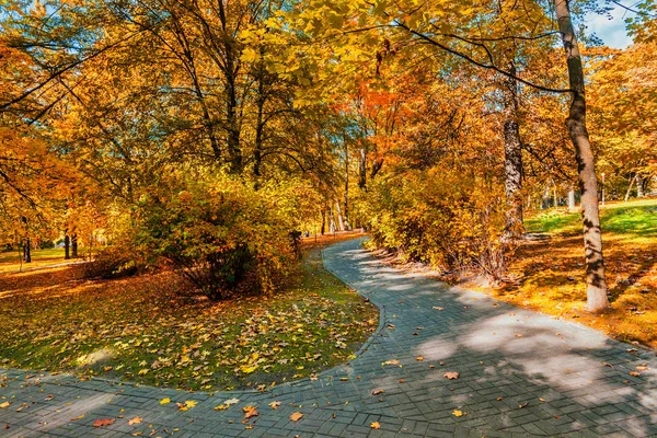 Herfst in het park — Stockfoto