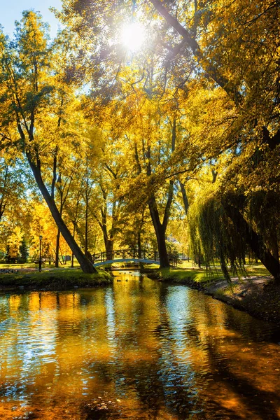 Autumn  in park — Stock Photo, Image