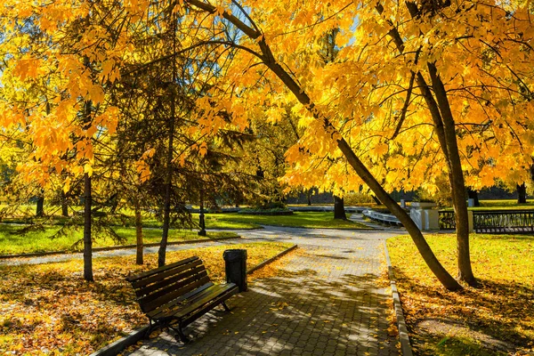 Otoño en parque —  Fotos de Stock