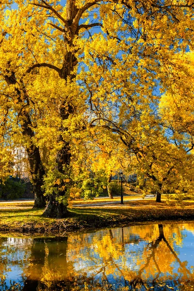Podzim v parku — Stock fotografie