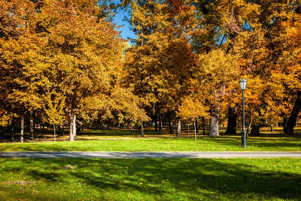 Otoño en parque —  Fotos de Stock