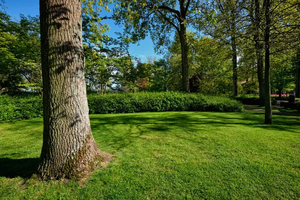 Prato verde nel giardino fiorito Keukenhof, Paesi Bassi — Foto Stock