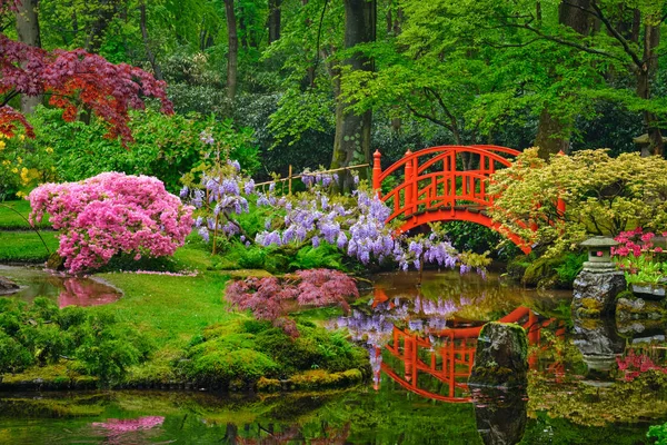 Japon bahçesi, Park Clingendael, Lahey, Hollanda