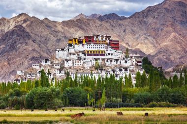 Thiksey gompa, Ladakh, Hindistan