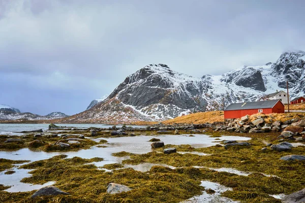 Kırmızı rorbu ev ve Norveç Fiyordu