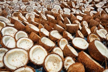 Drying coconuts, Kerala, South India clipart