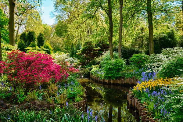 Keukenhof flower garden. Lisse, the Netherlands. — Stock Photo, Image