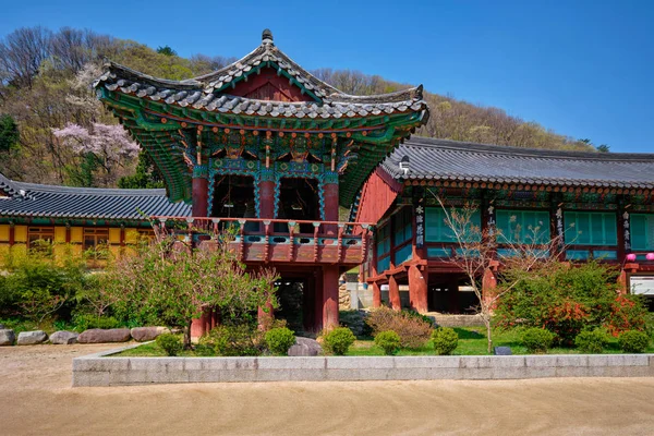 Templo Sinheungsa en el Parque Nacional Seoraksan, Seoraksan, Corea del Sur — Foto de Stock