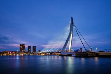 Erasmus Köprüsü, Rotterdam, Hollanda