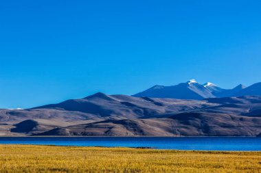 Himalayalar 'da Tso Moriri Gölü, Ladakh, Hindistan