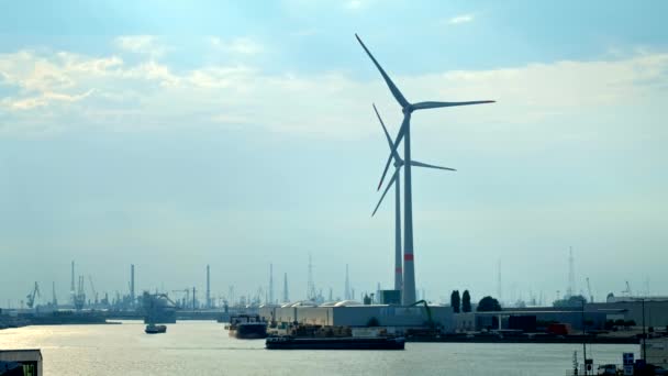Vindkraftverk i Antwerpens hamn vid solnedgången. — Stockvideo