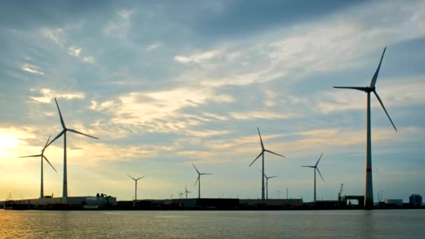 Windkraftanlagen im Hafen von Antwerpen bei Sonnenuntergang. — Stockvideo