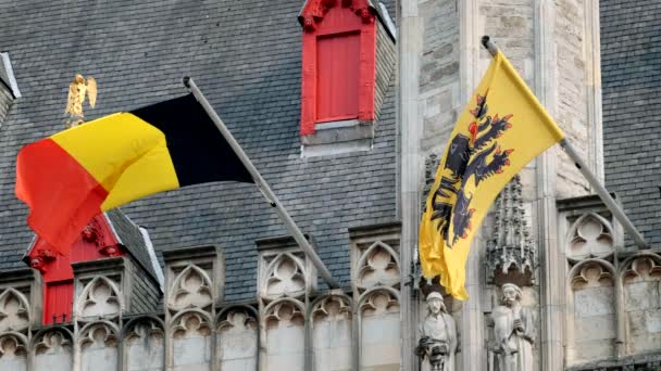 Vlag van Vlaanderen en België vlag op oud gebouw — Stockvideo