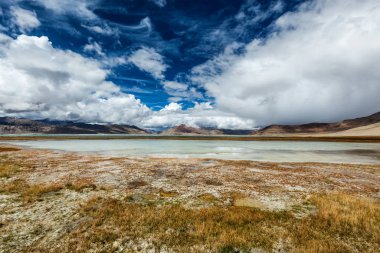 Tso Kar - Himalayalar 'da dalgalanan tuz gölü