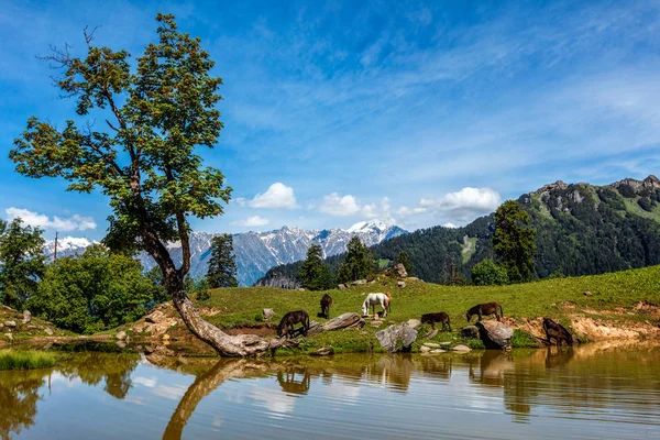 Paisagem indiana do Himalaia no Himalaia — Fotografia de Stock