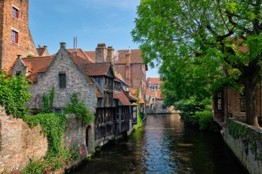 Bruge, Beligum 'da eski evleri olan kanal.