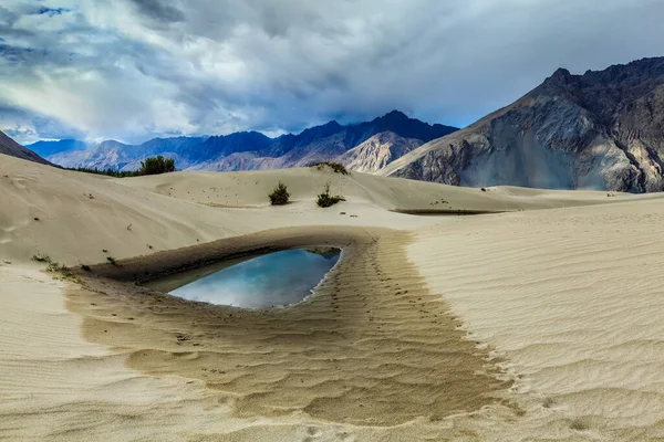 Dunas de areia no Himalaia. Hunder, vale de Nubra, Ladakh. Índia — Fotografia de Stock