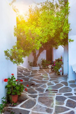 Yunanistan 'ın Paros Adası' ndaki Naousa şehir caddesi