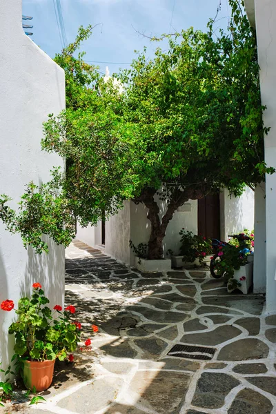 Rua pitoresca da cidade de Naousa na ilha de Paros, Grécia — Fotografia de Stock