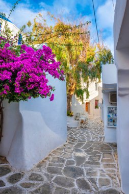 Yunanistan 'ın Paros Adası' ndaki Naousa şehir caddesi