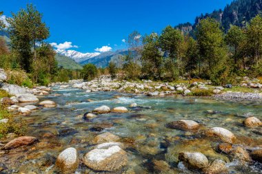 Kullu Vadisi Beas Nehri, Himachal Pradesh, Hindistan
